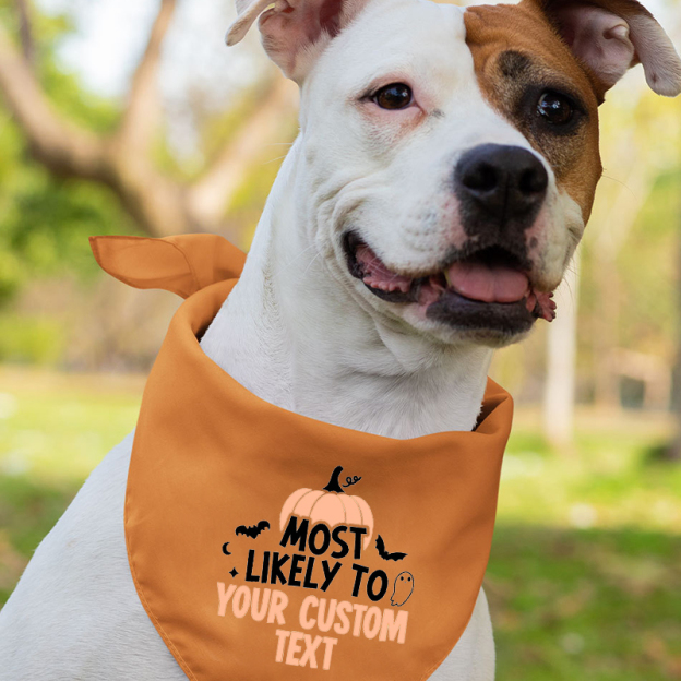 Most Likely To Halloween Matching Shirts