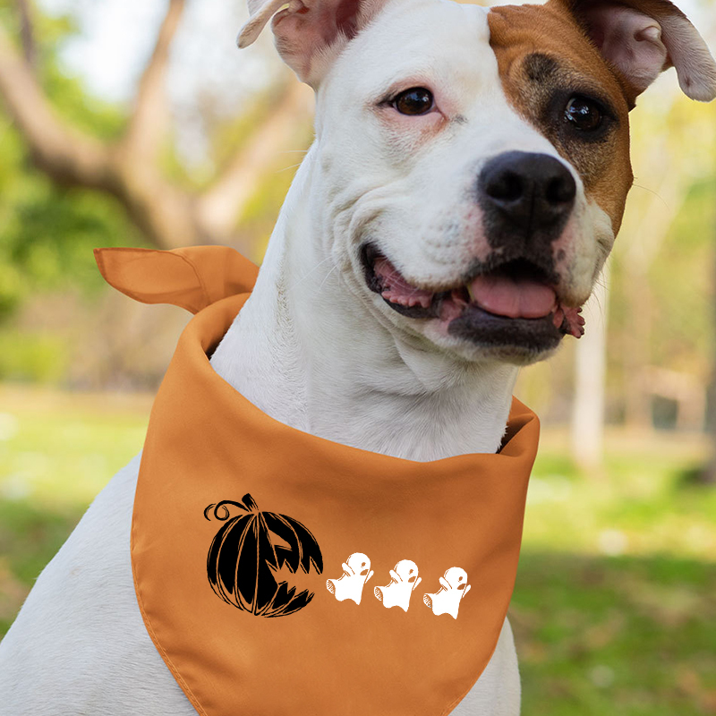  Funny Ghost Halloween Matching Shirts