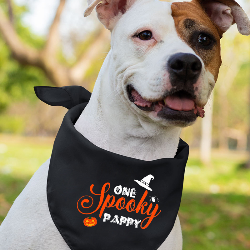 One Spooky Pappy Halloween Matching Shirts