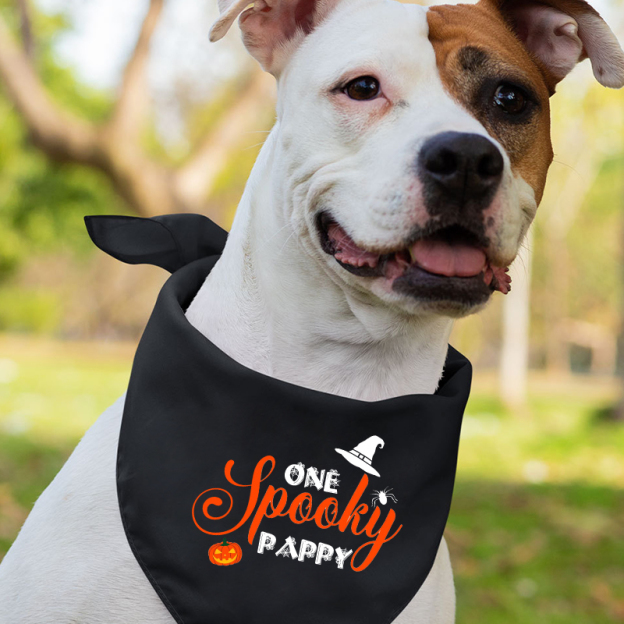 One Spooky Pappy Halloween Matching Shirts