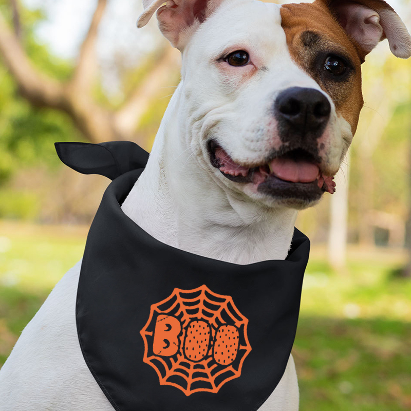 Spider Web Personalized Halloween Matching Shirts