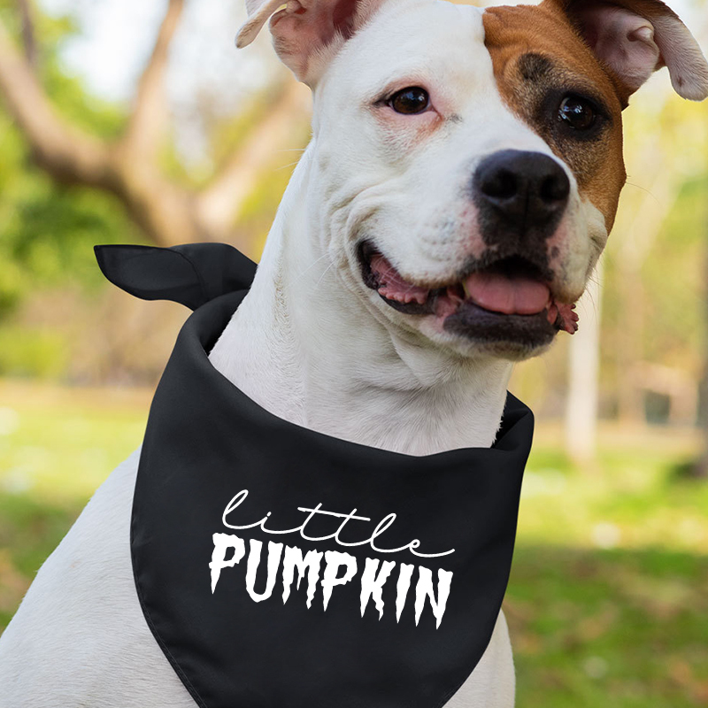 Personalized Halloween Matching Shirts Pumpkin Patch