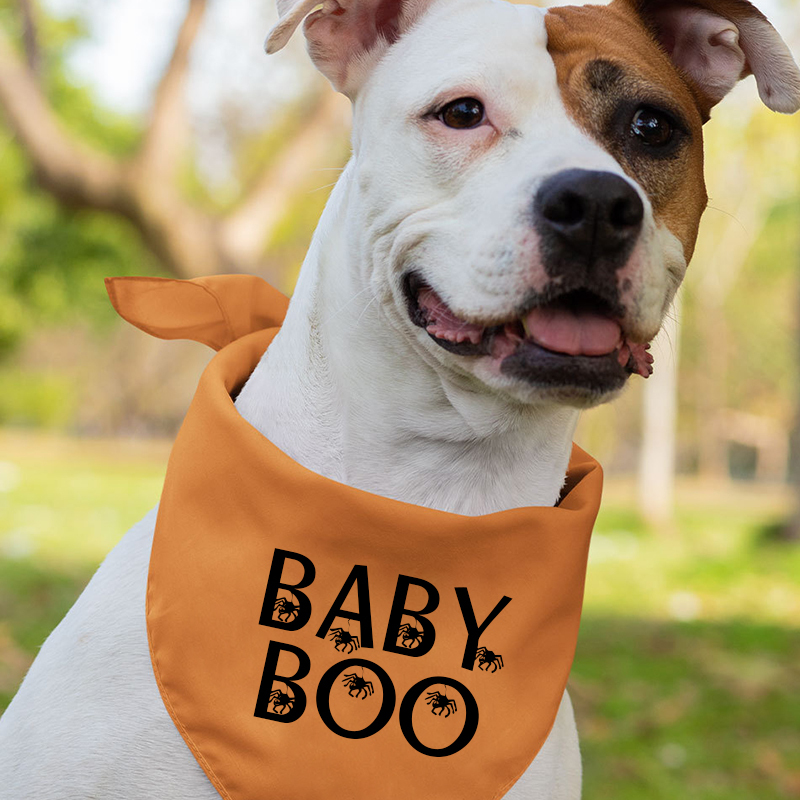 Personalized Halloween Spider Family Matching Shirts