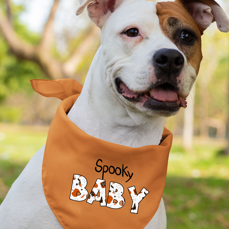 Personalized Trick Or Treat Family Matching Shirts