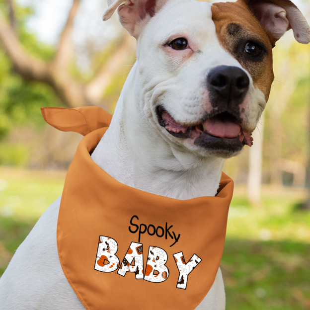 Personalized Trick Or Treat Family Matching Shirts