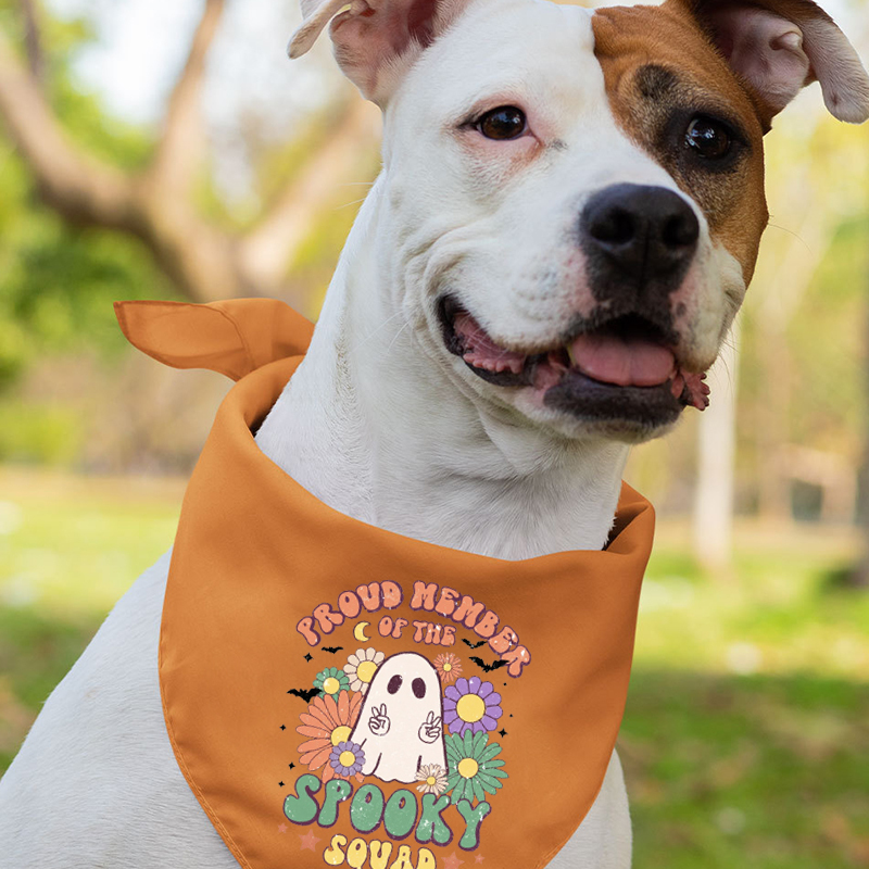 Proud Member Of The Spooky Squad Family Matching Shirts