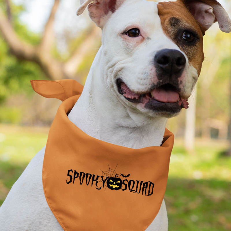 Halloween Pumpkin Spooky Squad Family Matching Shirts