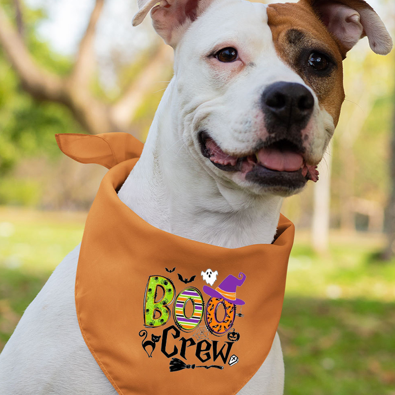 Pattern Halloween Family Matching Shirts