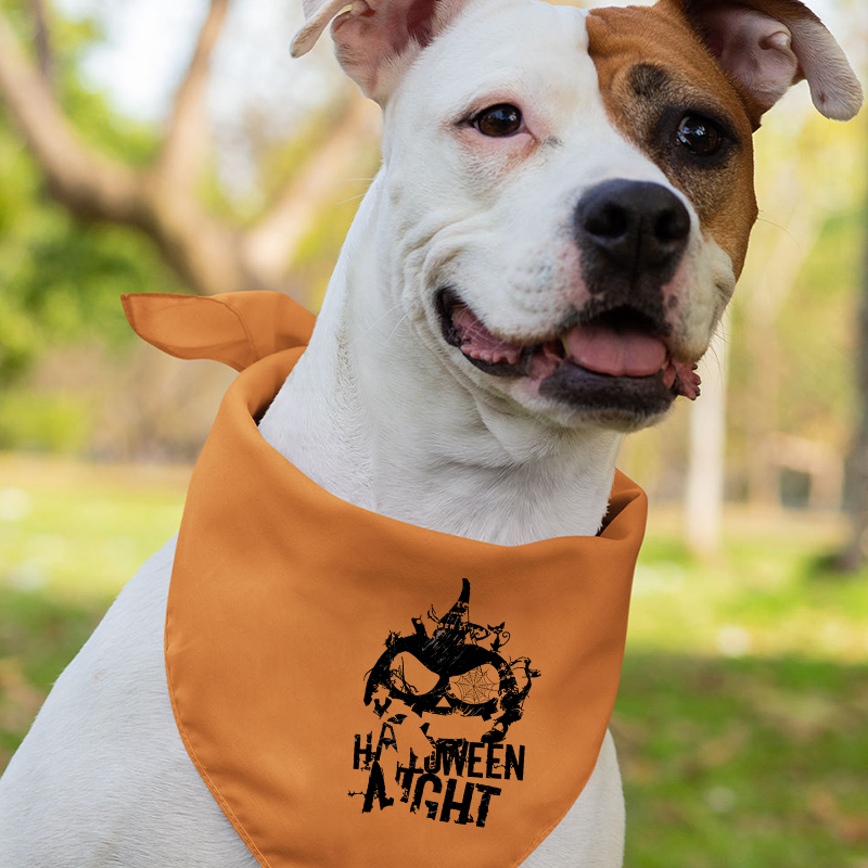 Halloween Night Family Matching Shirts