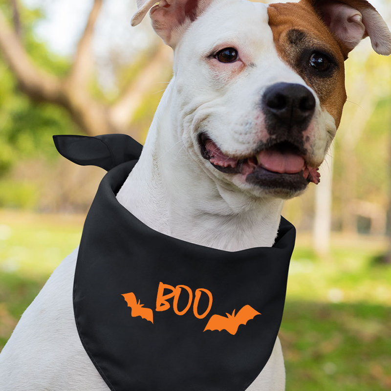 Boo Ghost Halloween Family Matching Shirts