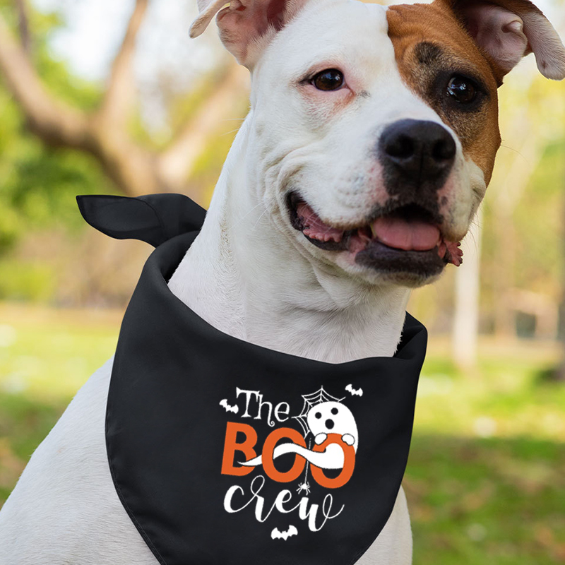 The Boo Crew Halloween Family Party Matching Shirt