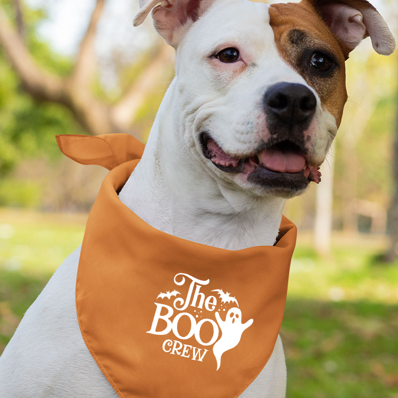 The Boo Crew Bat Halloween Family Party Matching Shirt