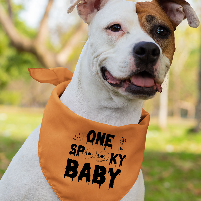 One Spooky Family Shirts For Halloween