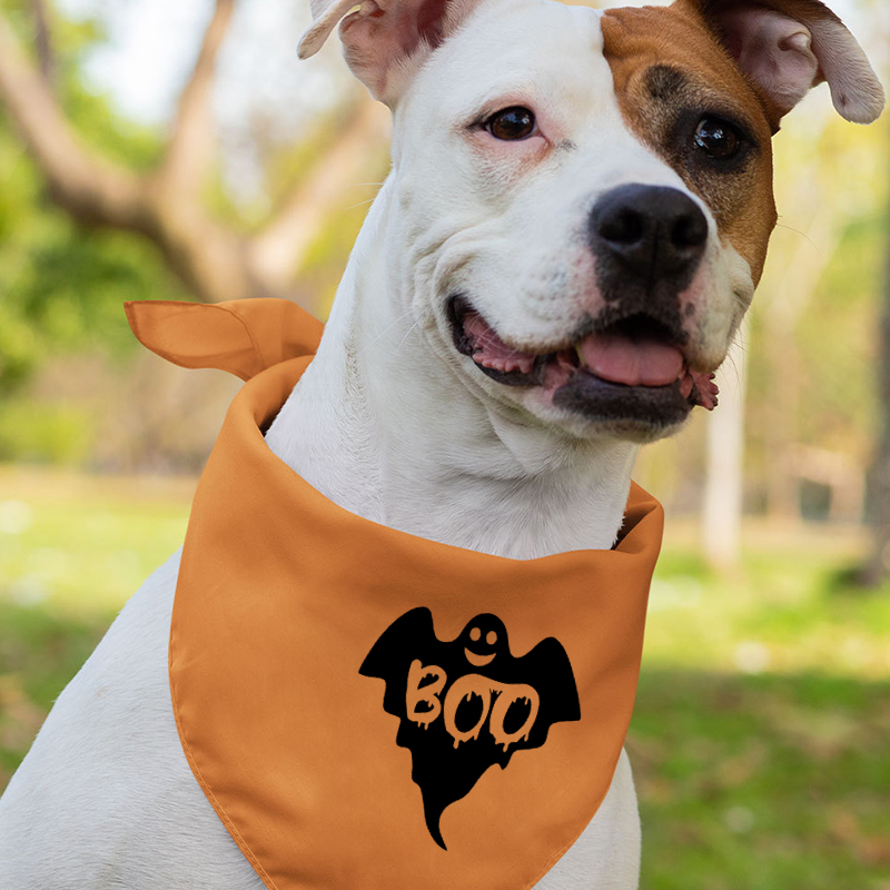 Halloween Boo Ghost Family Matching Shirt