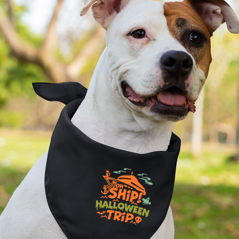 Halloween Ship Trip Family Matching Shirt