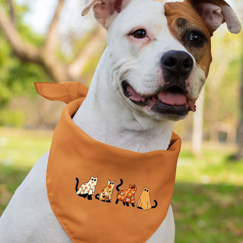 Spooky Season Cat Ghost Halloween Family Shirt