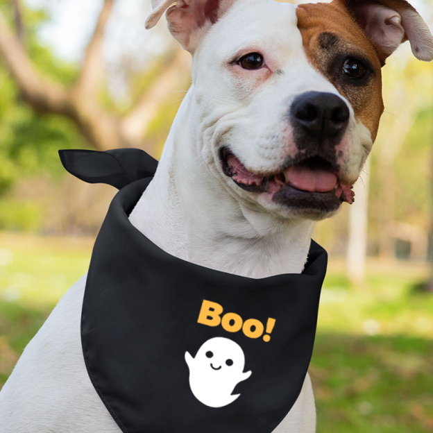 Halloween Boo Spread Wings Imp Shirt For Family