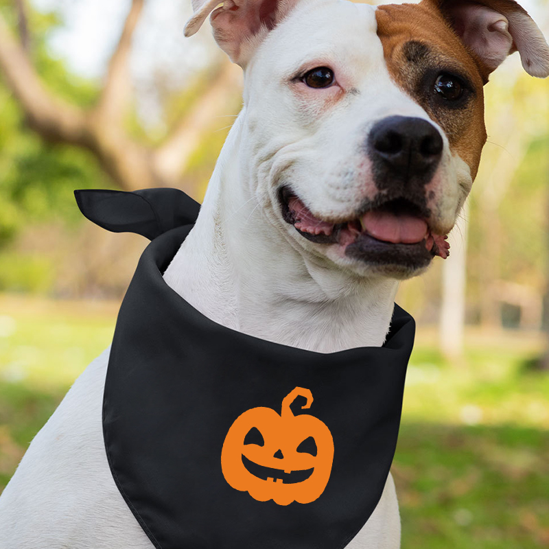 Halloween Pumpkin Face Family Matching Shirts