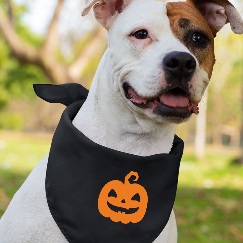 Halloween Pumpkin Face Family Matching Shirts