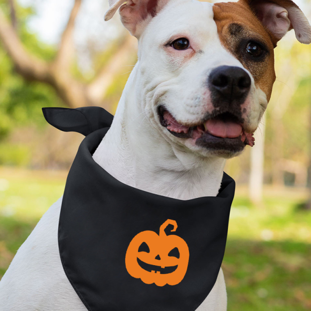 Halloween Pumpkin Face Family Matching Shirts
