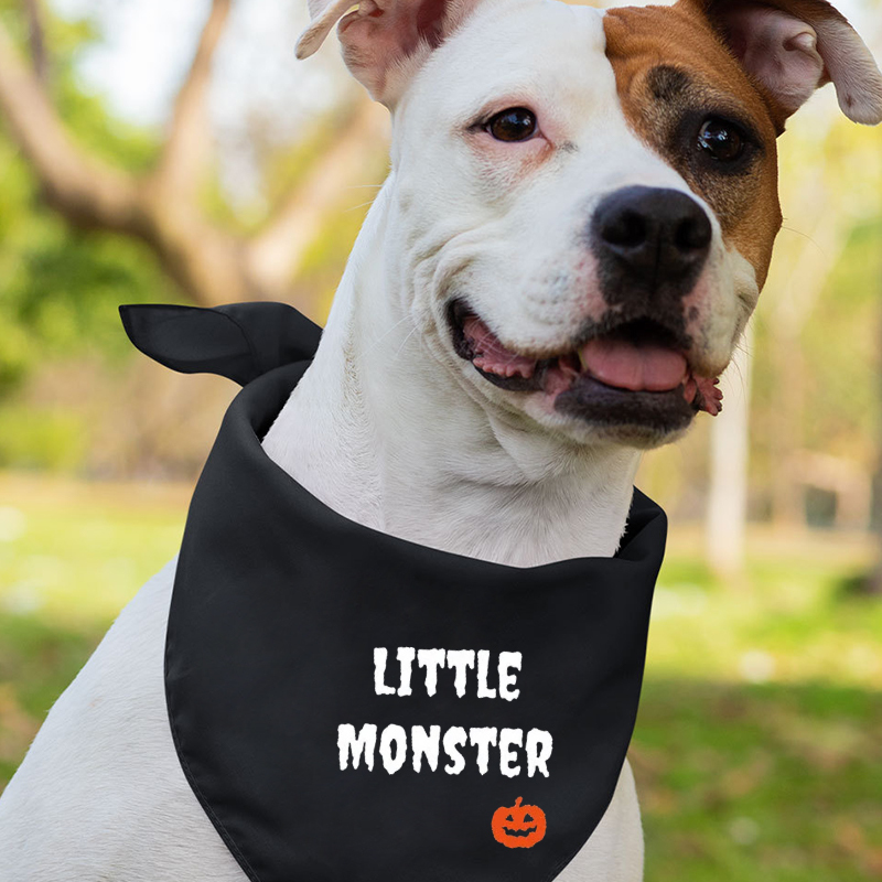 Halloween Momster Dadcula Pumpkin Family Matching Shirts