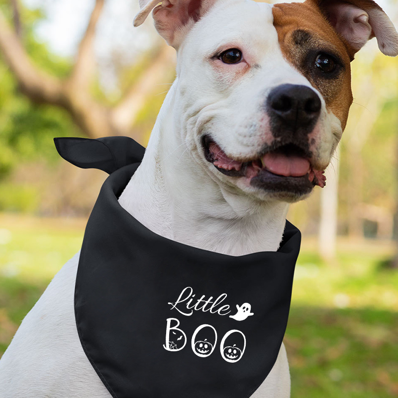 Halloween Pumpkin Imp Boo Family Matching T-Shirts