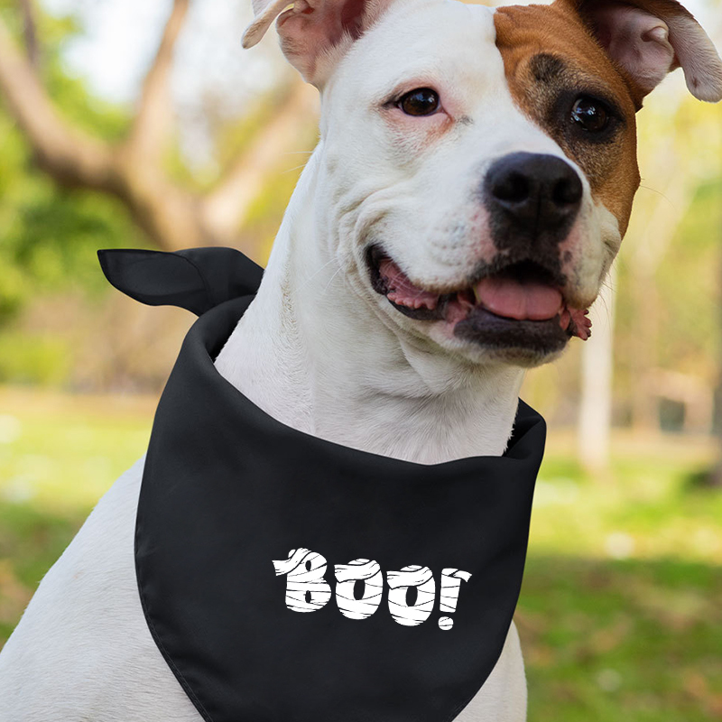 Funny Halloween Family Party Matching T-Shirts