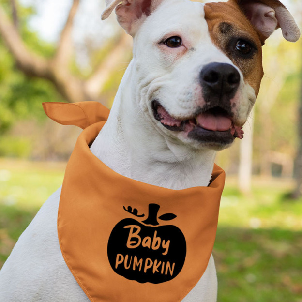 Halloween Family Personalize Pumpkin Family Matching T-Shirts