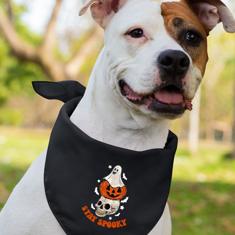 Stay Spooky Ghost Pumpkin Halloween Matching Shirts