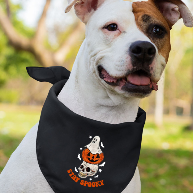 Stay Spooky Ghost Pumpkin Halloween Matching Shirts