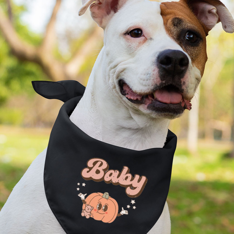 Retro Family Pumpkin Group Halloween Shirts