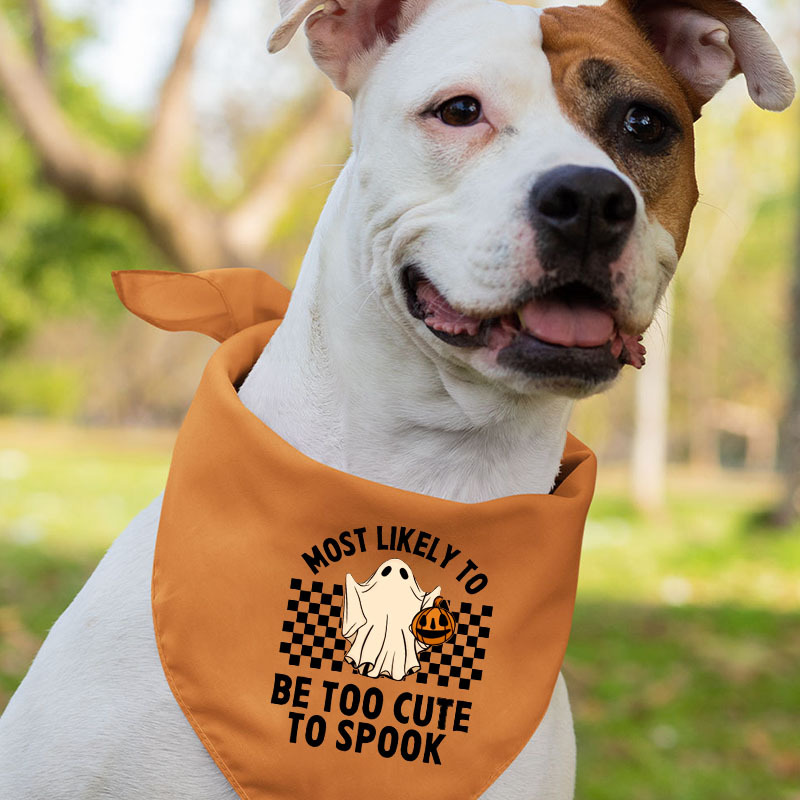 Matching Family Halloween Shirts Most Likely To