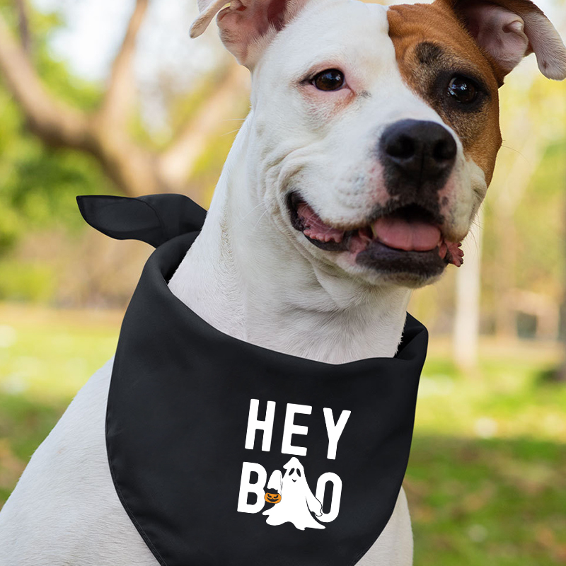 Halloween Hey Boo Carrying A Pumpkin Matching Family Shirt