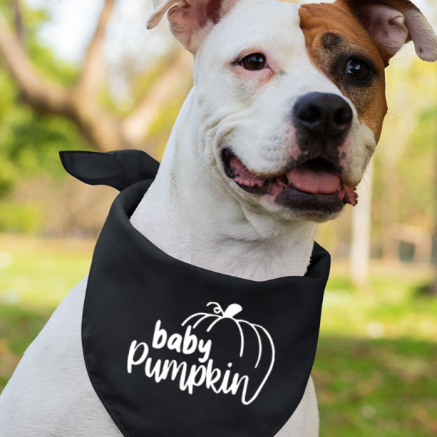 Halloween Party Costume Matching Family Tees