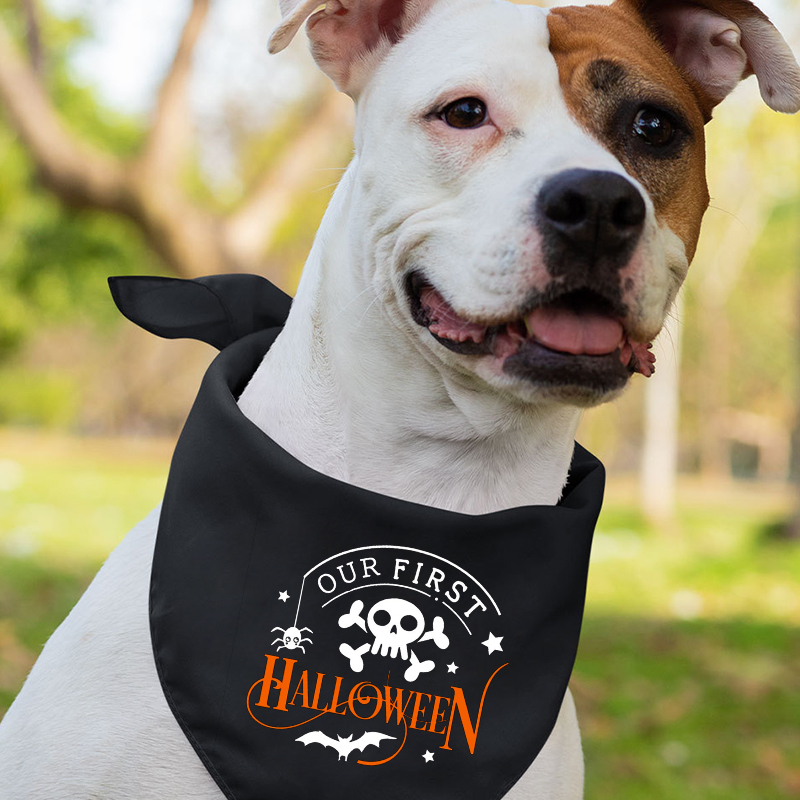 Our First Halloween Skeleton Bat Matching Family Tees