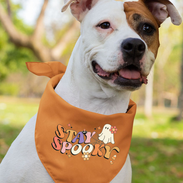 Halloween Party Stay Spooky Matching Family Tees