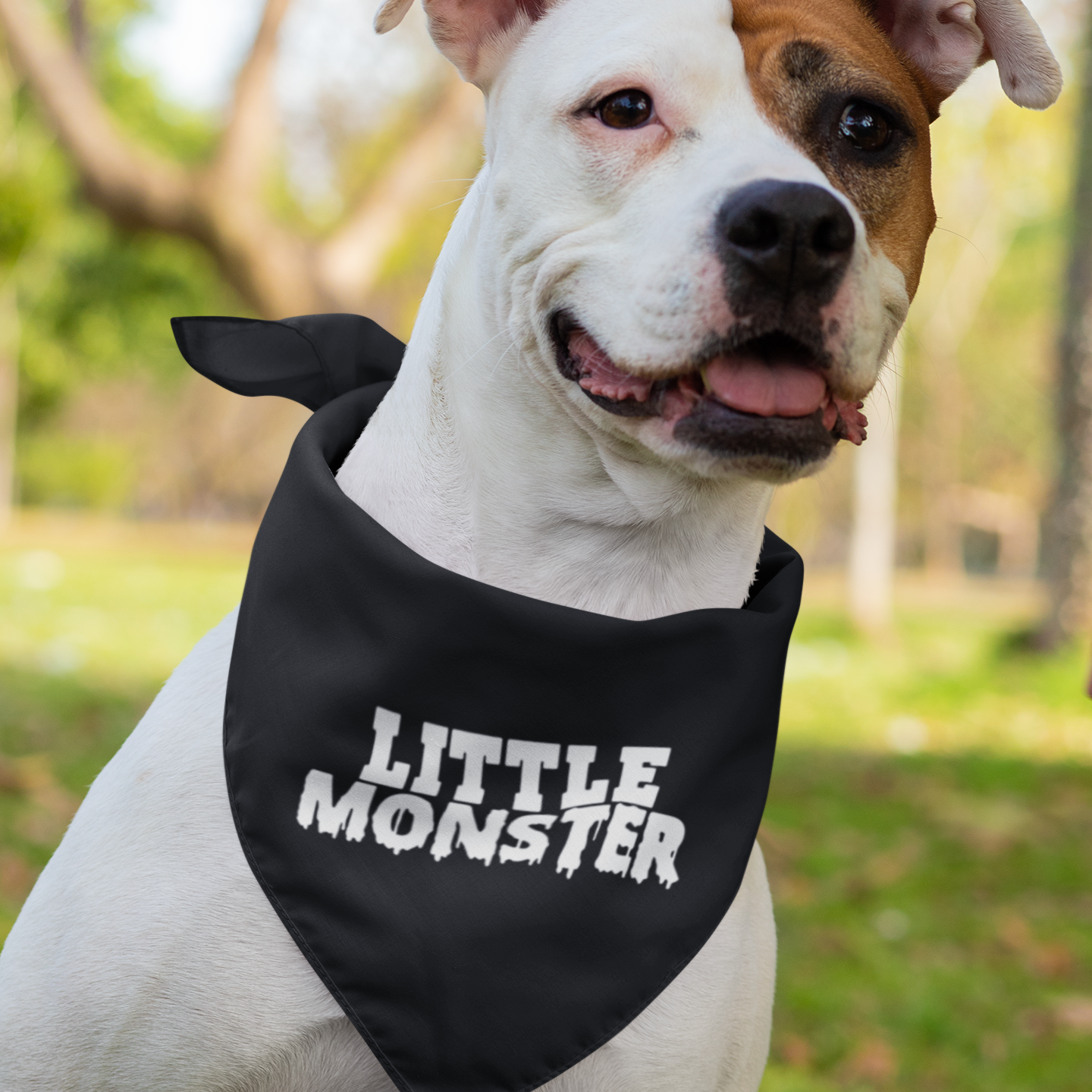 Momster Dadcula Family Halloween Matching Shirt 
