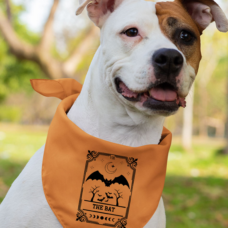 Custom Personalized Halloween Matching Shirts