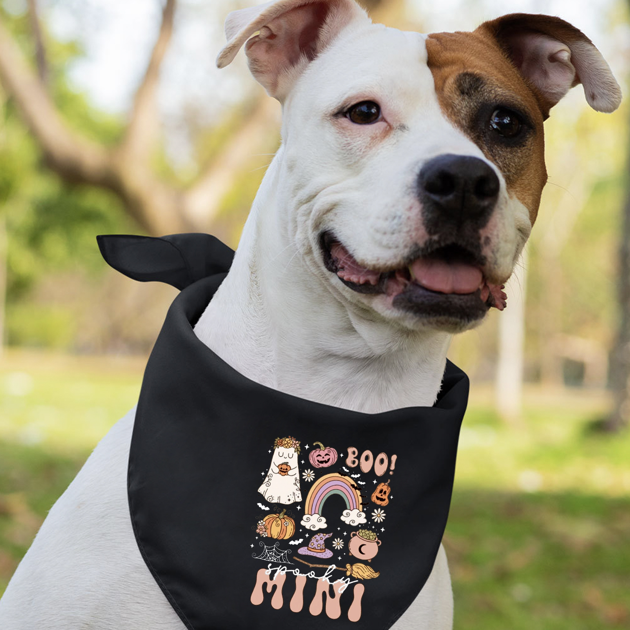 Spooky Rainbow Halloween Family Matching Shirts