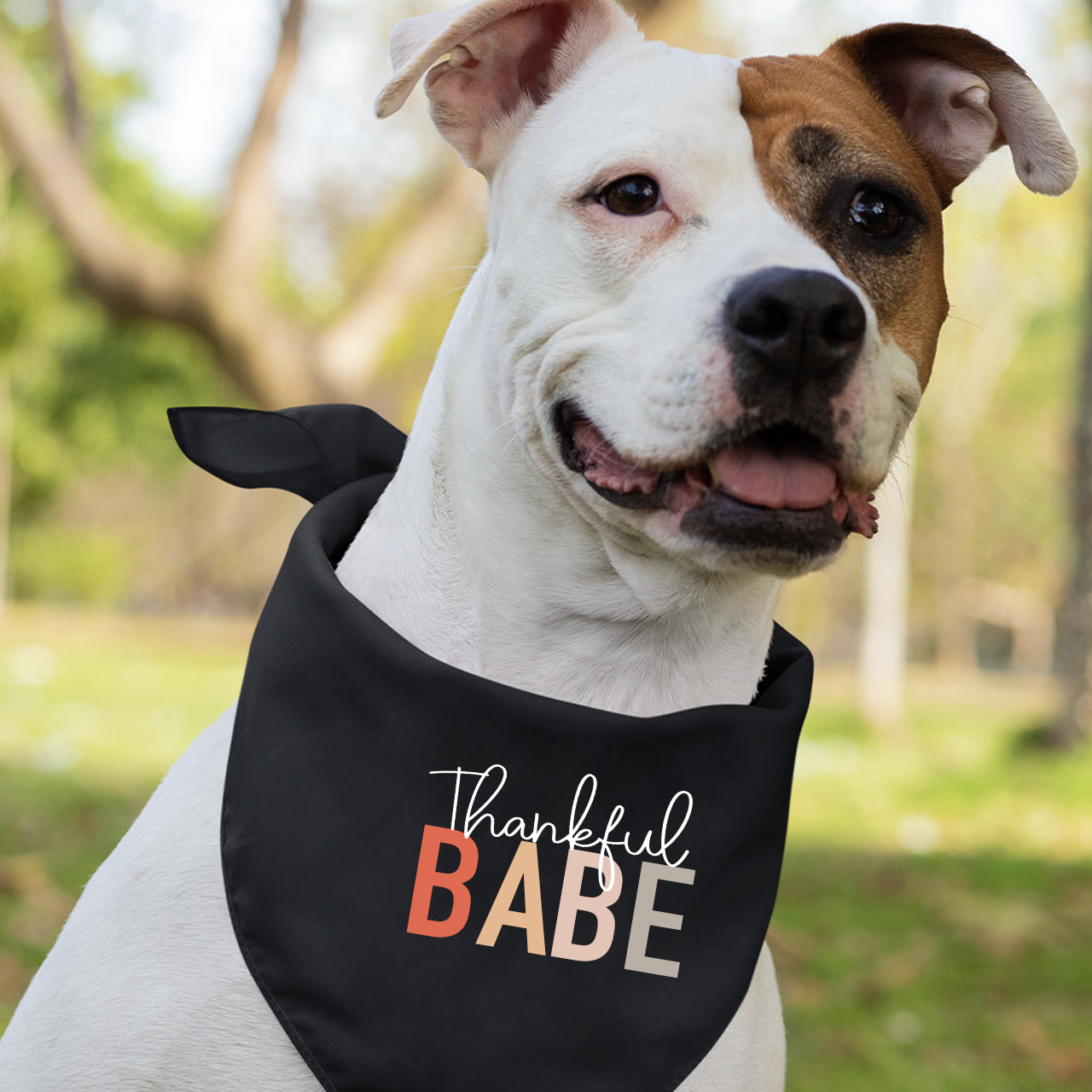 Thank You Halloween Family Matching Shirts