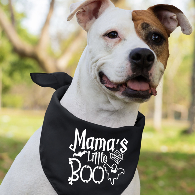 Halloween Hanging With My Boo Mom&Me Matching Shirt