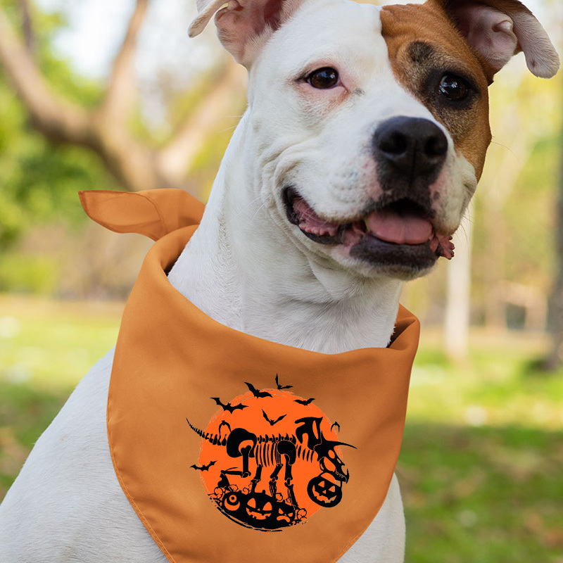 Halloween Dinosaurs Costume Family Shirts