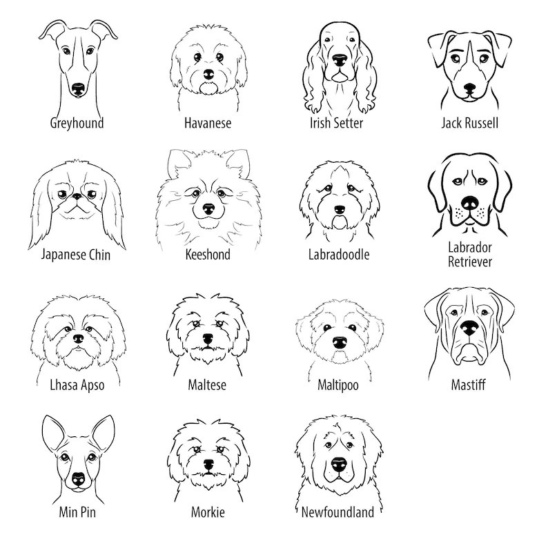 Personalized Baby Embroidery Rompers Sets (Pets)