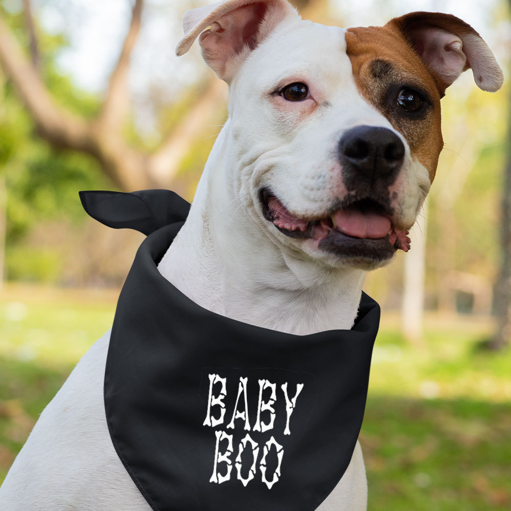 Halloween Skeleton Bones Family Matching Shirt 