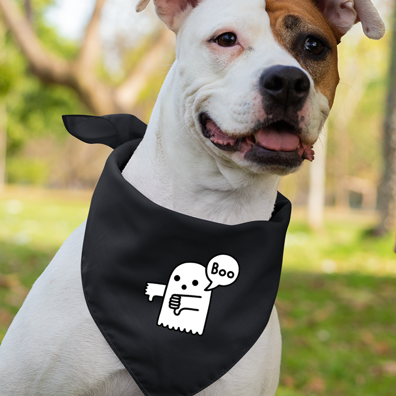 BOO Ghost Halloween Family Shirts