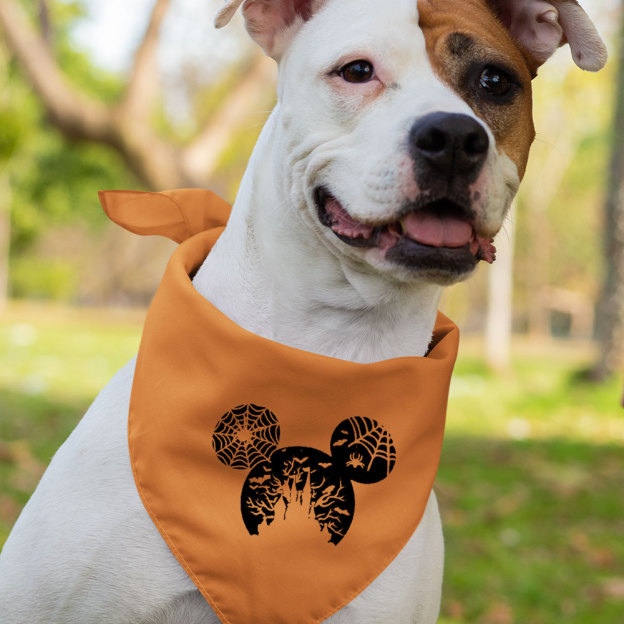 Disney Halloween Family Shirt