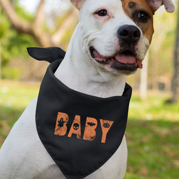 Halloween Design Family Matching Shirts