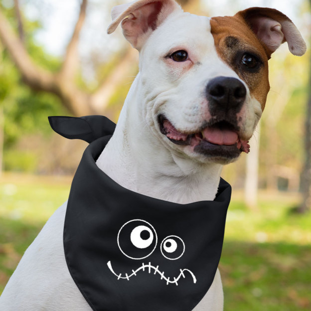 Funny Face Halloween Family Matching Shirt 