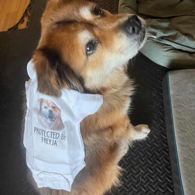 Protected By Bodysuit For Baby 