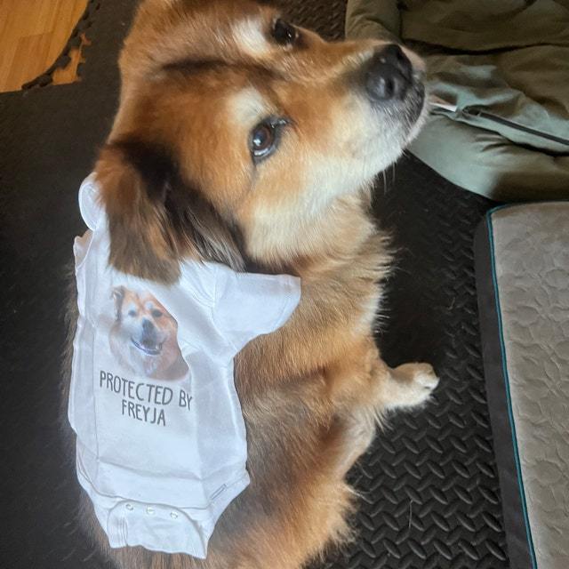 Protected By Bodysuit For Baby 